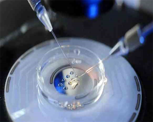 沈阳供卵试管私立机构哪家强？附沈阳三代试管供卵医院排名